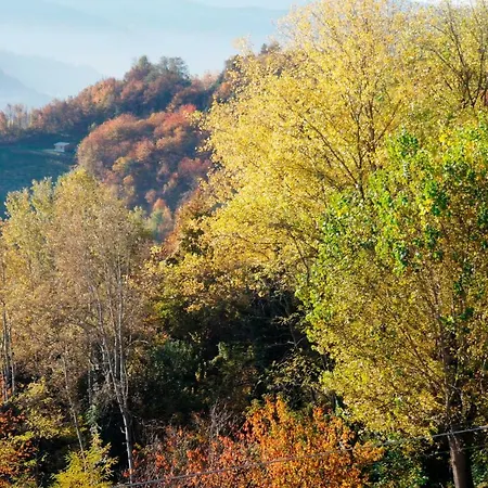 Casa Banana アパート