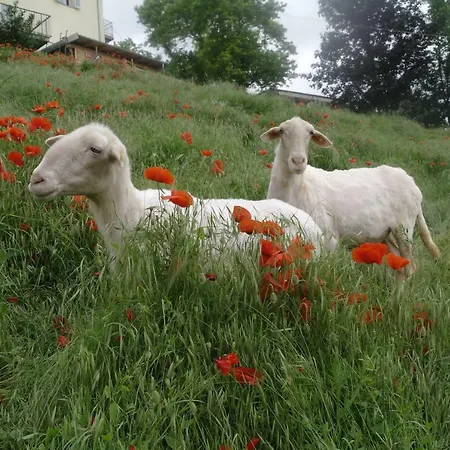 アパート Casa Banana