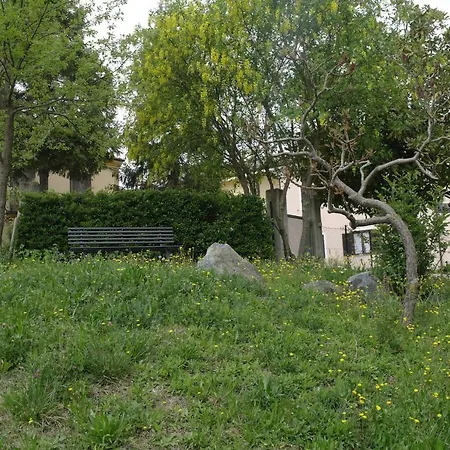 Casa Banana * Castino