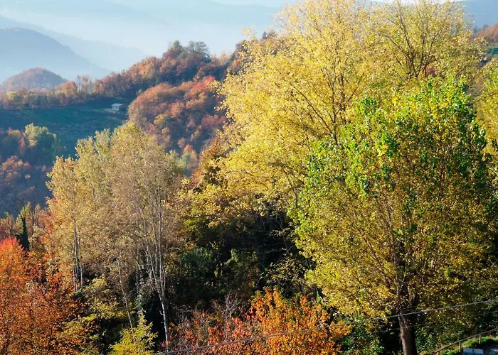 Casa Banana Apartment