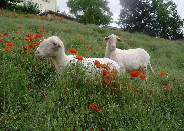 Apartment Casa Banana